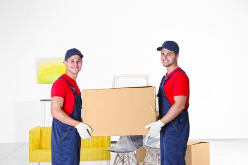 Professional movers assisting with a relocation