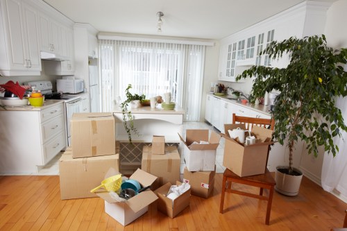 Professional movers handling household items during relocation