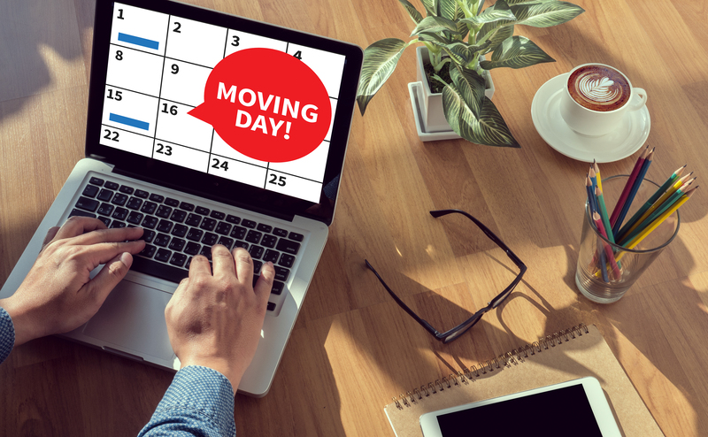 Experienced movers packing items carefully